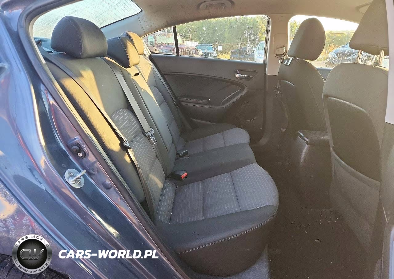 2016 Kia Forte Lx VIN:KNAFX4A6XG5541504 - 10