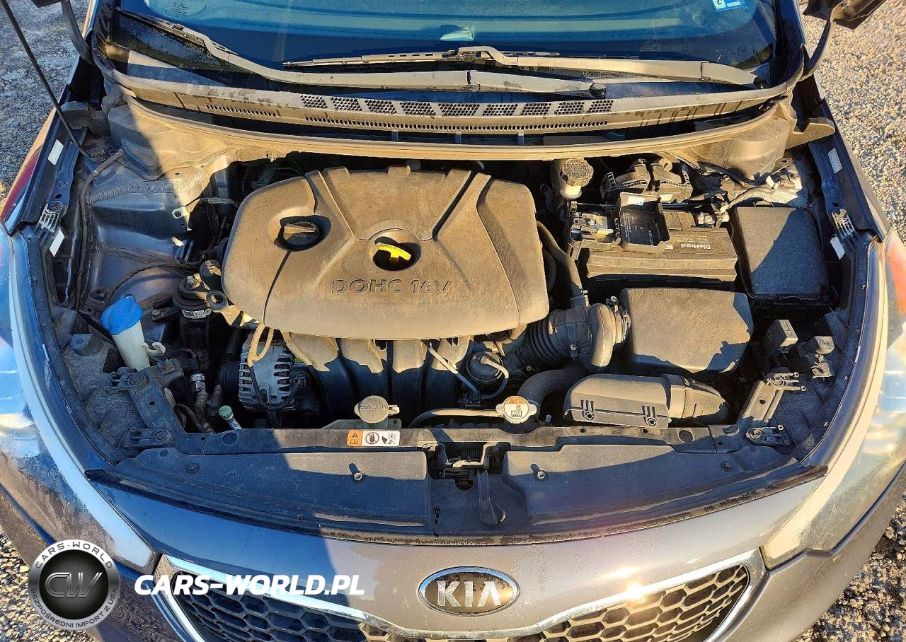 2016 Kia Forte Lx VIN:KNAFX4A6XG5541504 - 11