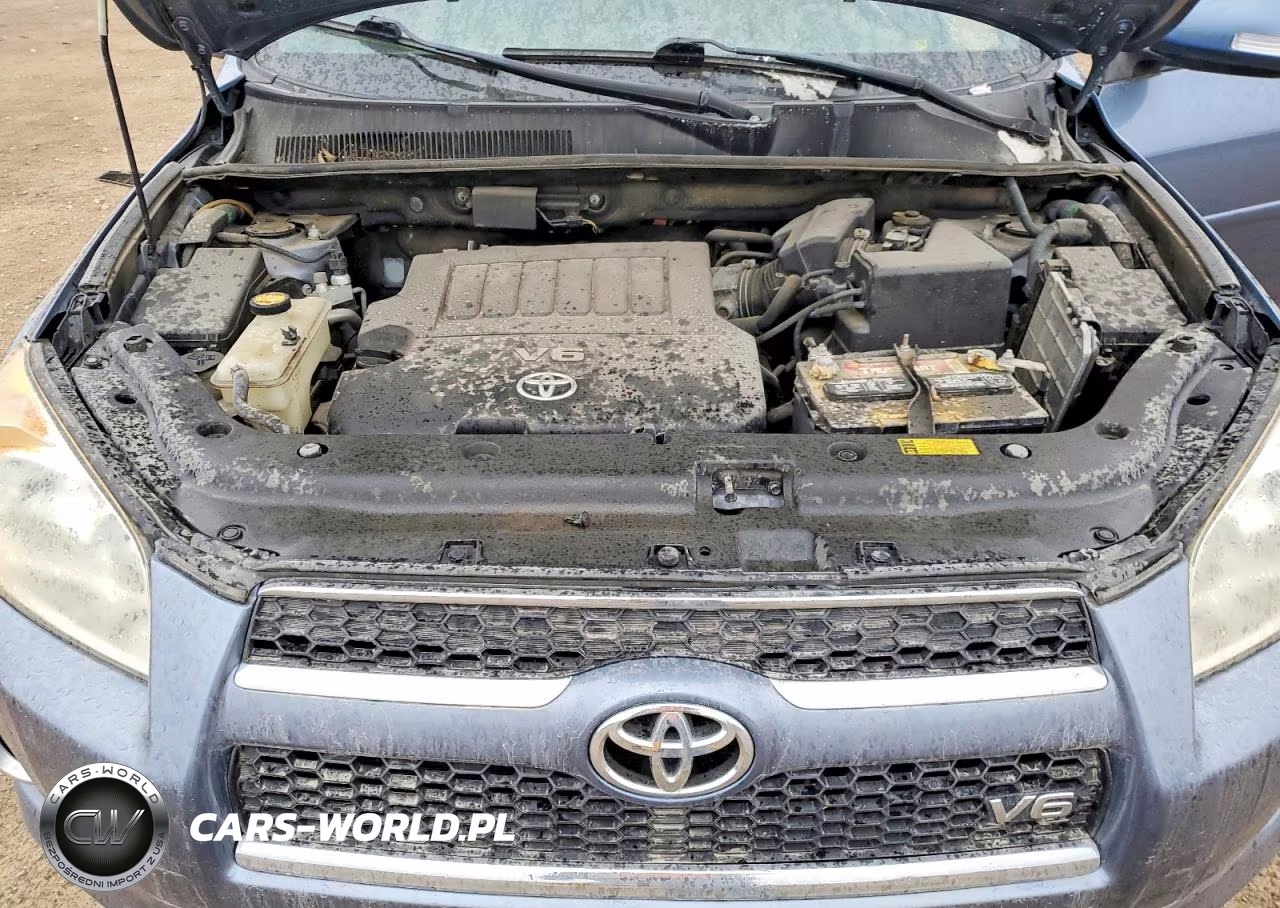 2009 Toyota Rav4 Limited VIN:JTMBK31V59D009958 - 12
