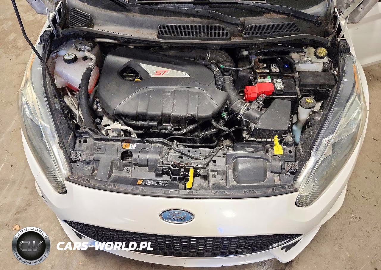 2016 Ford Fiesta St VIN:3FADP4GX8GM126739 - 12