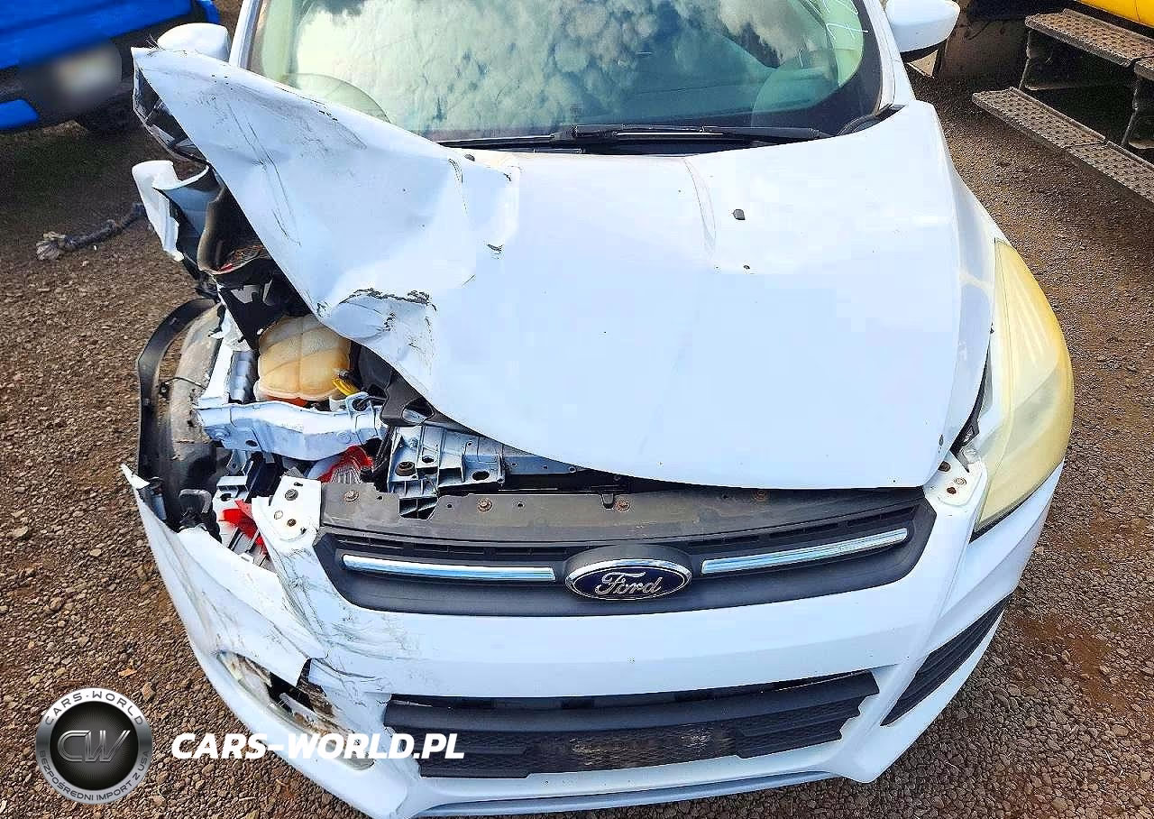 2014 Ford Escape Se VIN:1FMCU0G92EUB85346 - 15