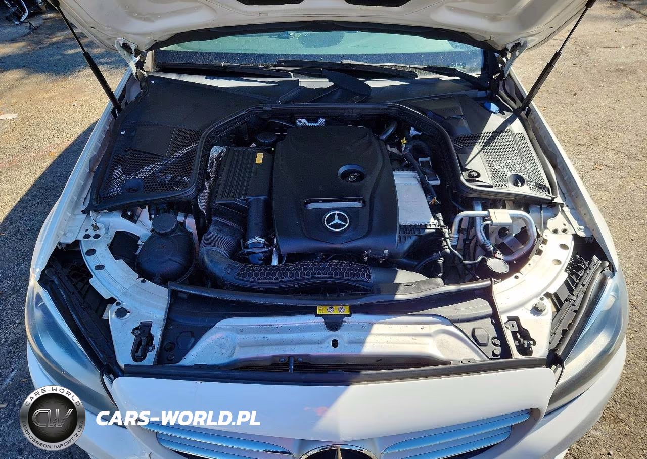 2017 Mercedes-Benz C 300 4Matic VIN:55SWF4KB5HU207669 - 11