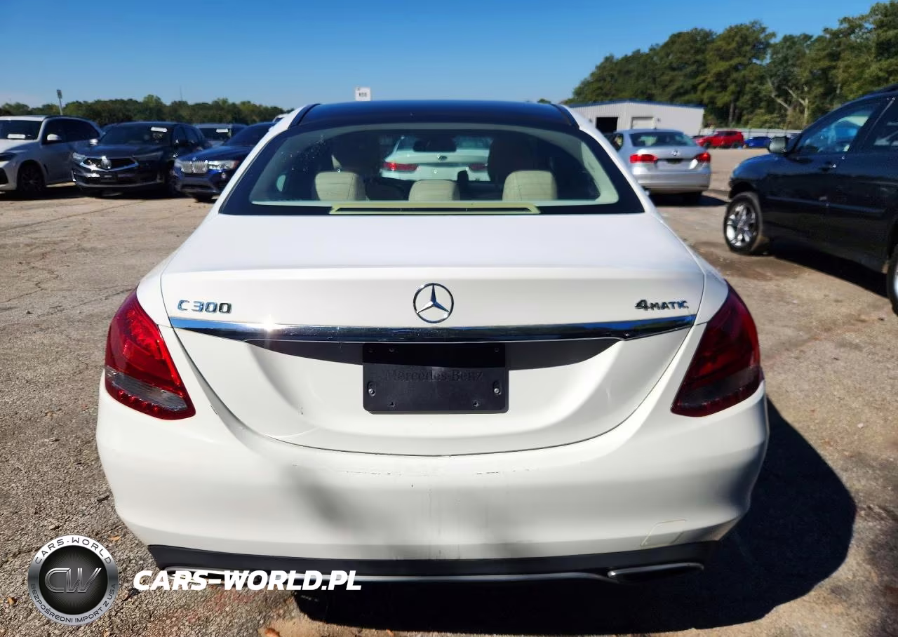2017 Mercedes-Benz C 300 4Matic VIN:55SWF4KB5HU207669 - 6
