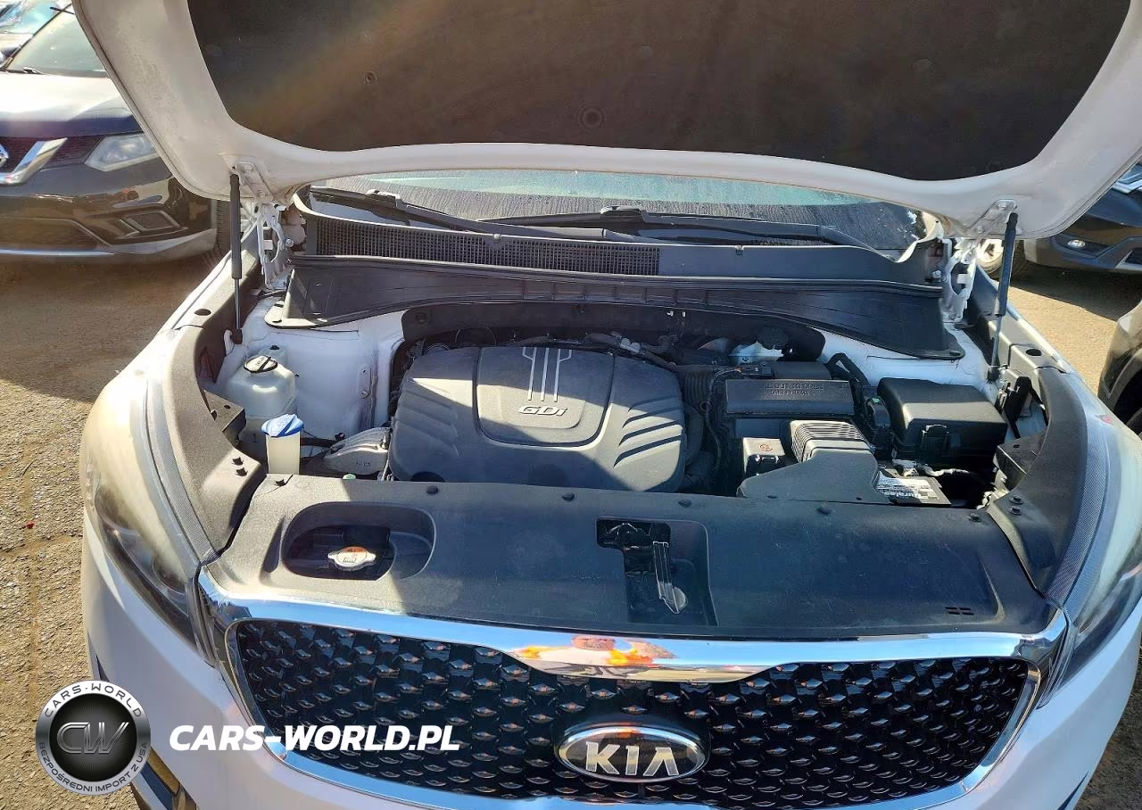 2016 Kia Sorento Ex VIN:5XYPH4A58GG160771 - 12