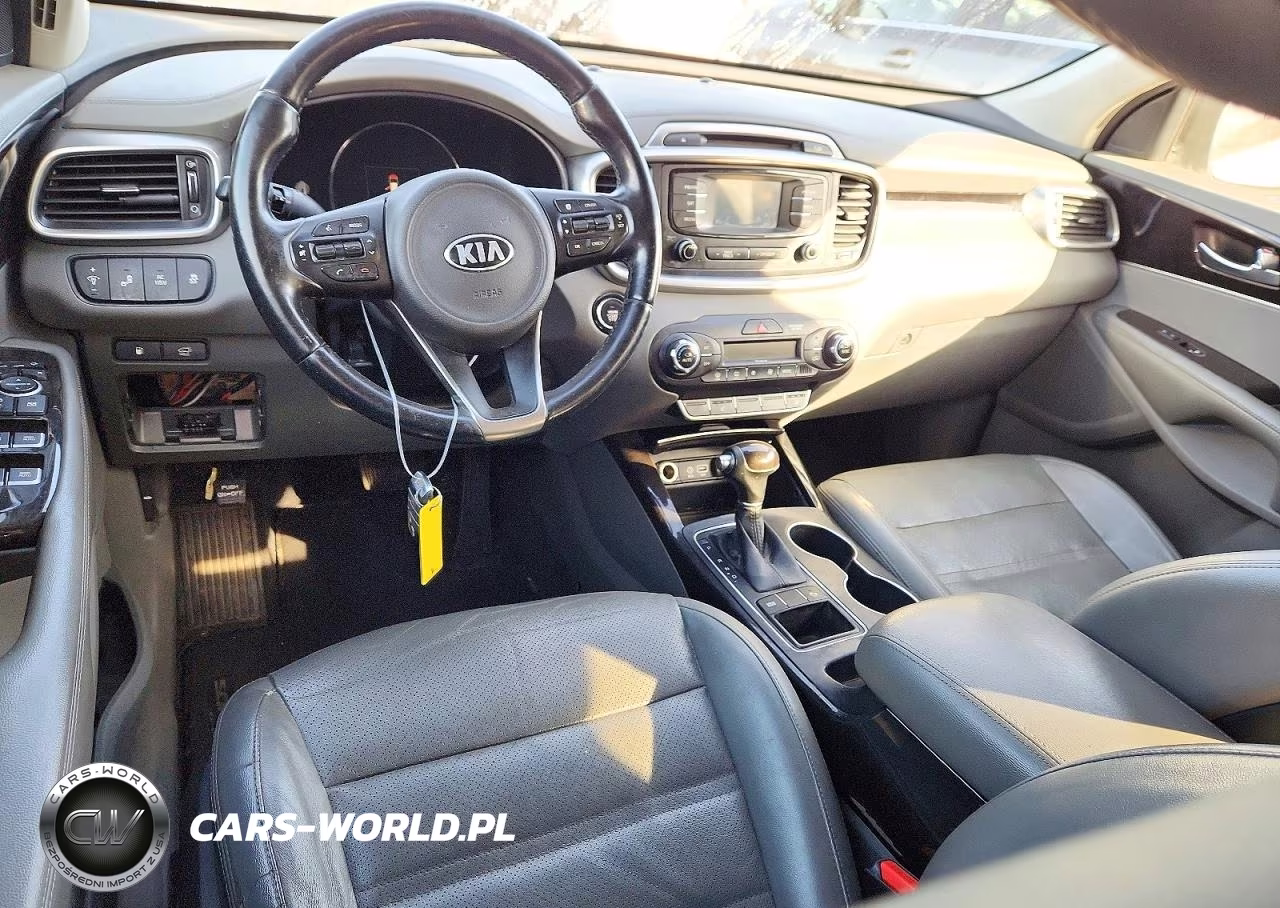 2016 Kia Sorento Ex VIN:5XYPH4A58GG160771 - 8