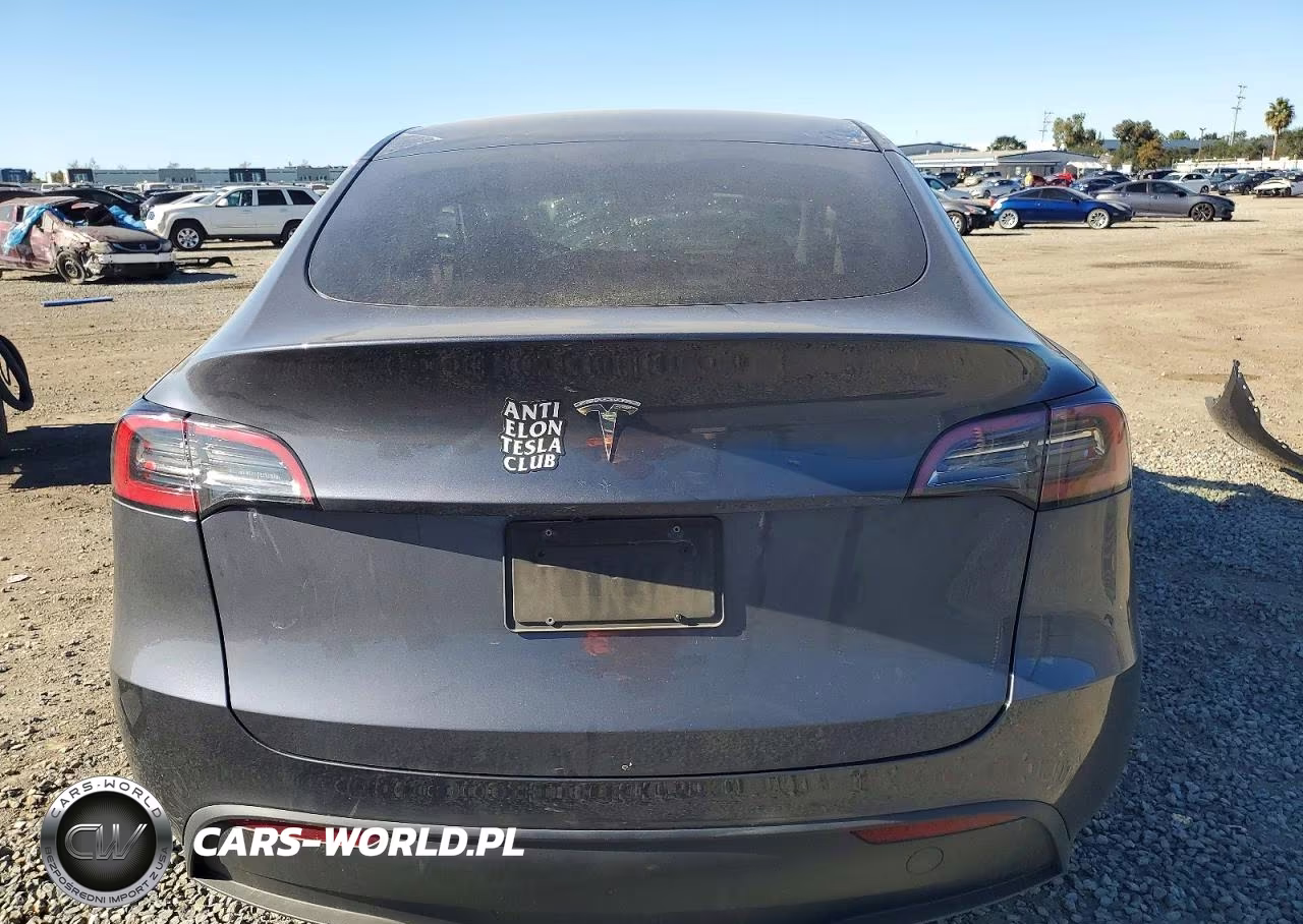 2023 Tesla Model Y VIN:7SAYGDED9PF965648 - 6