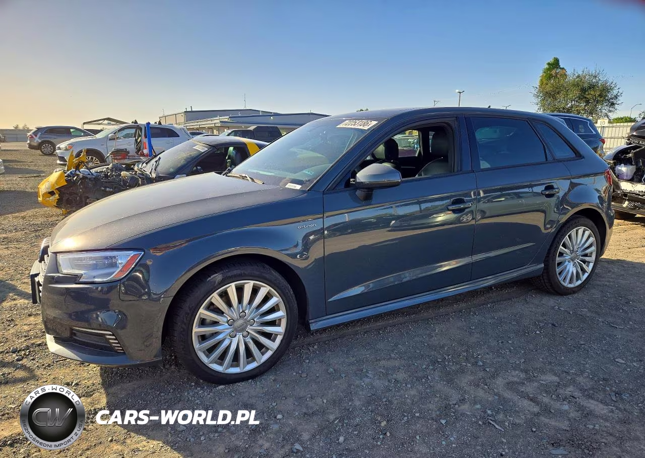 2017 Audi A3 E-Tron Premium VIN:WAUUPBFF5HA054644 - 1