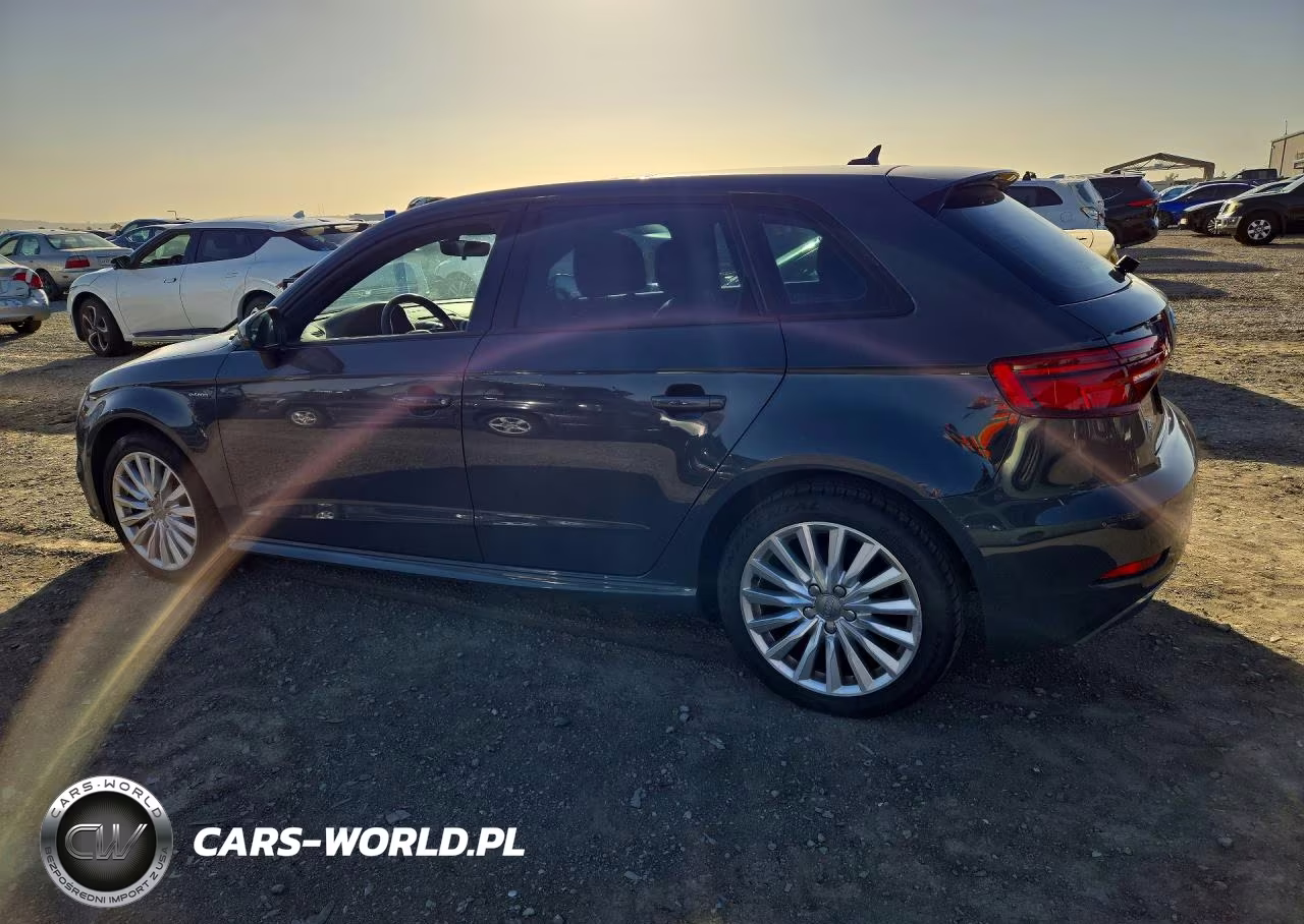 2017 Audi A3 E-Tron Premium VIN:WAUUPBFF5HA054644 - 2