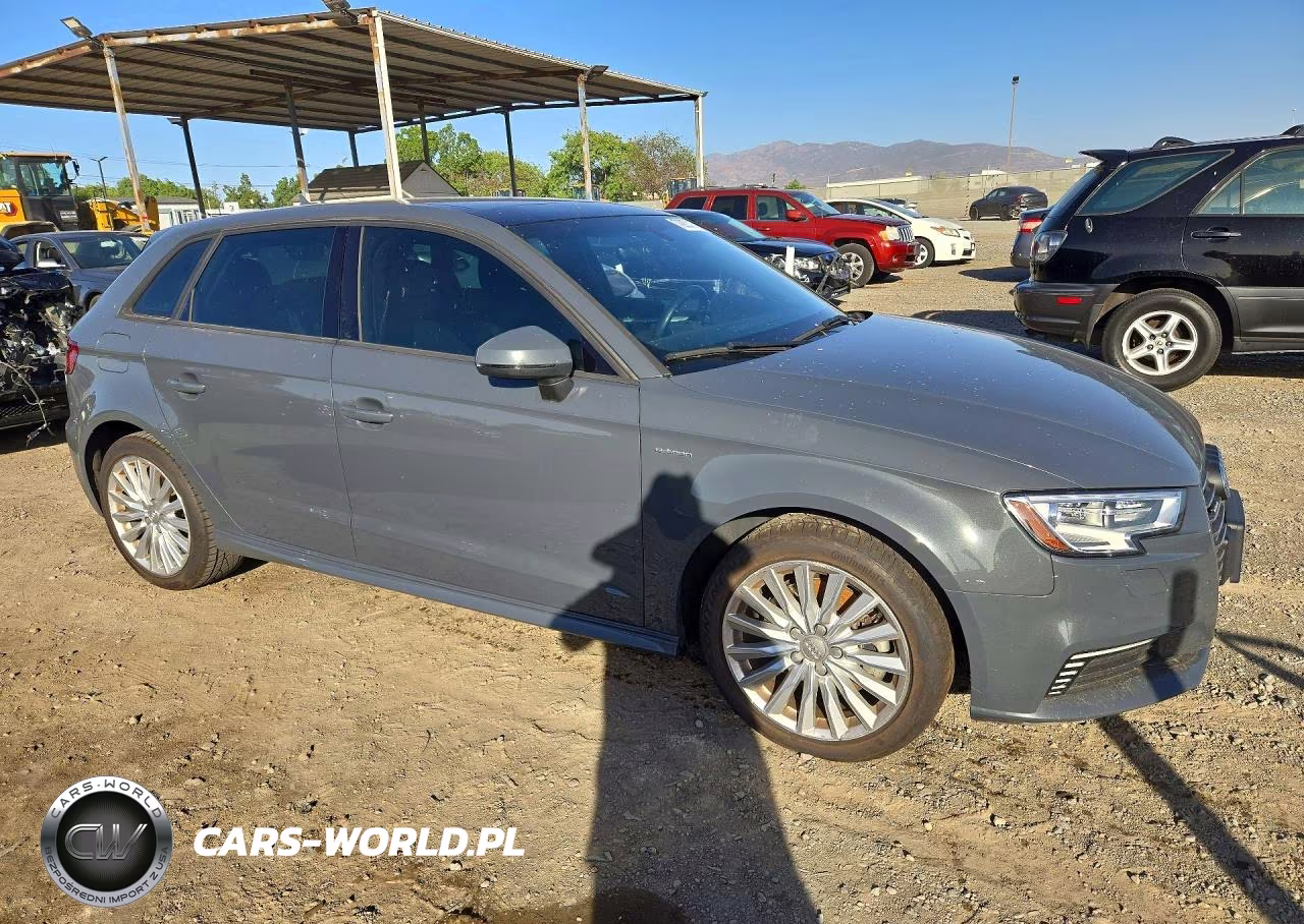 2017 Audi A3 E-Tron Premium VIN:WAUUPBFF5HA054644 - 4