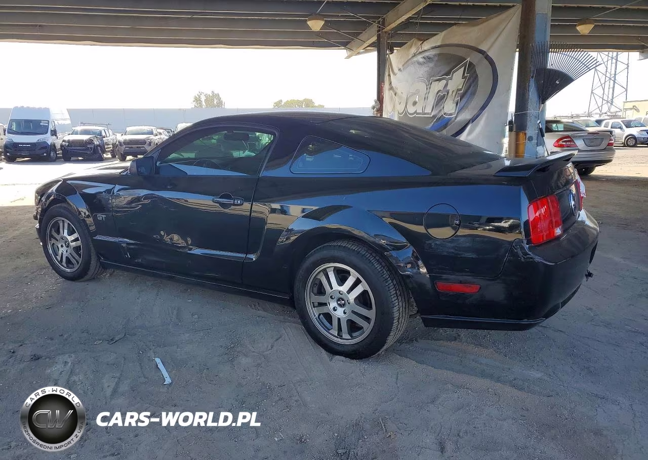 2006 Ford Mustang Gt VIN:1ZVFT82H765131700 - 2