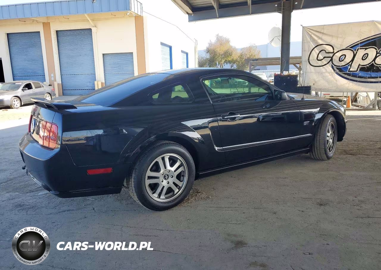 2006 Ford Mustang Gt VIN:1ZVFT82H765131700 - 3