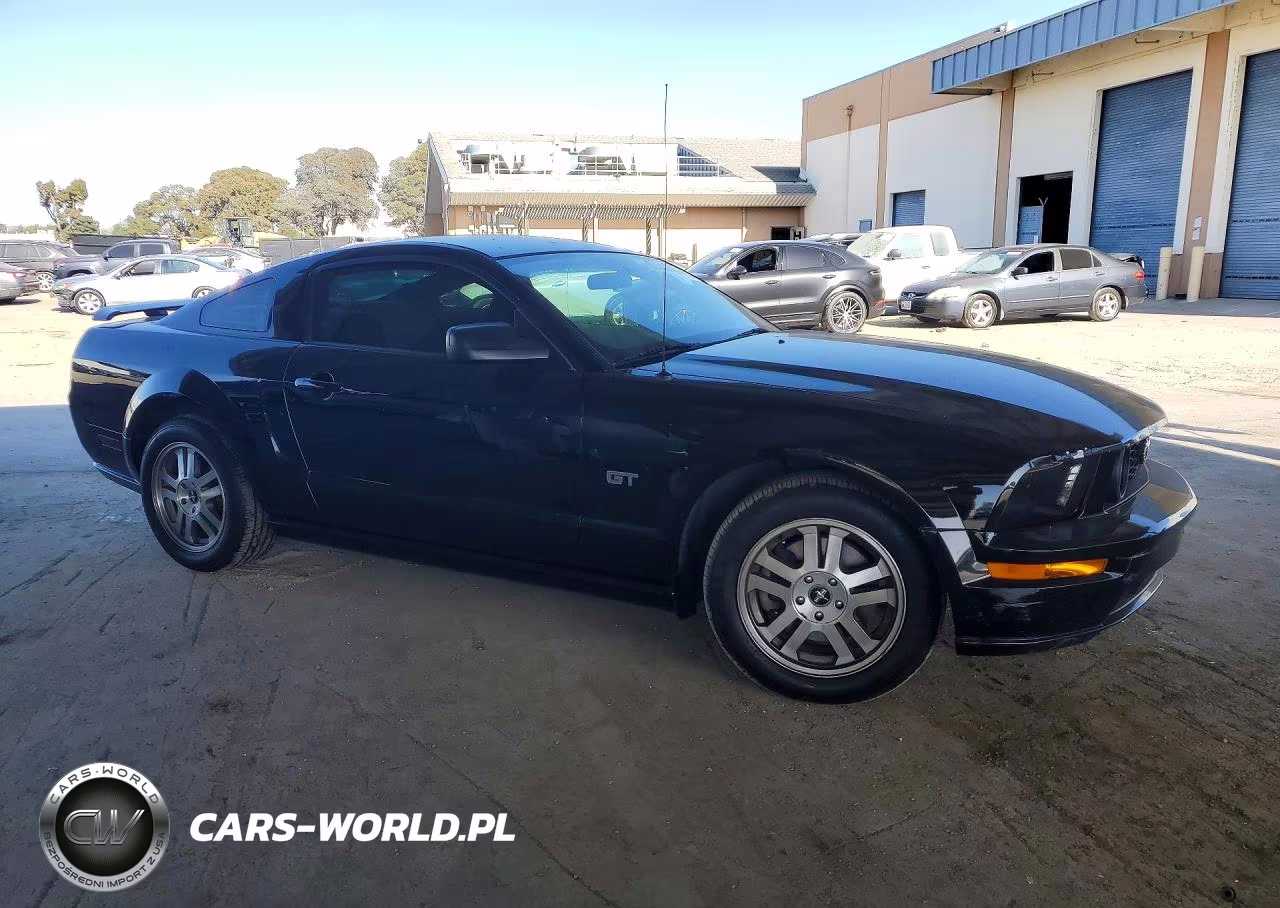 2006 Ford Mustang Gt VIN:1ZVFT82H765131700 - 4