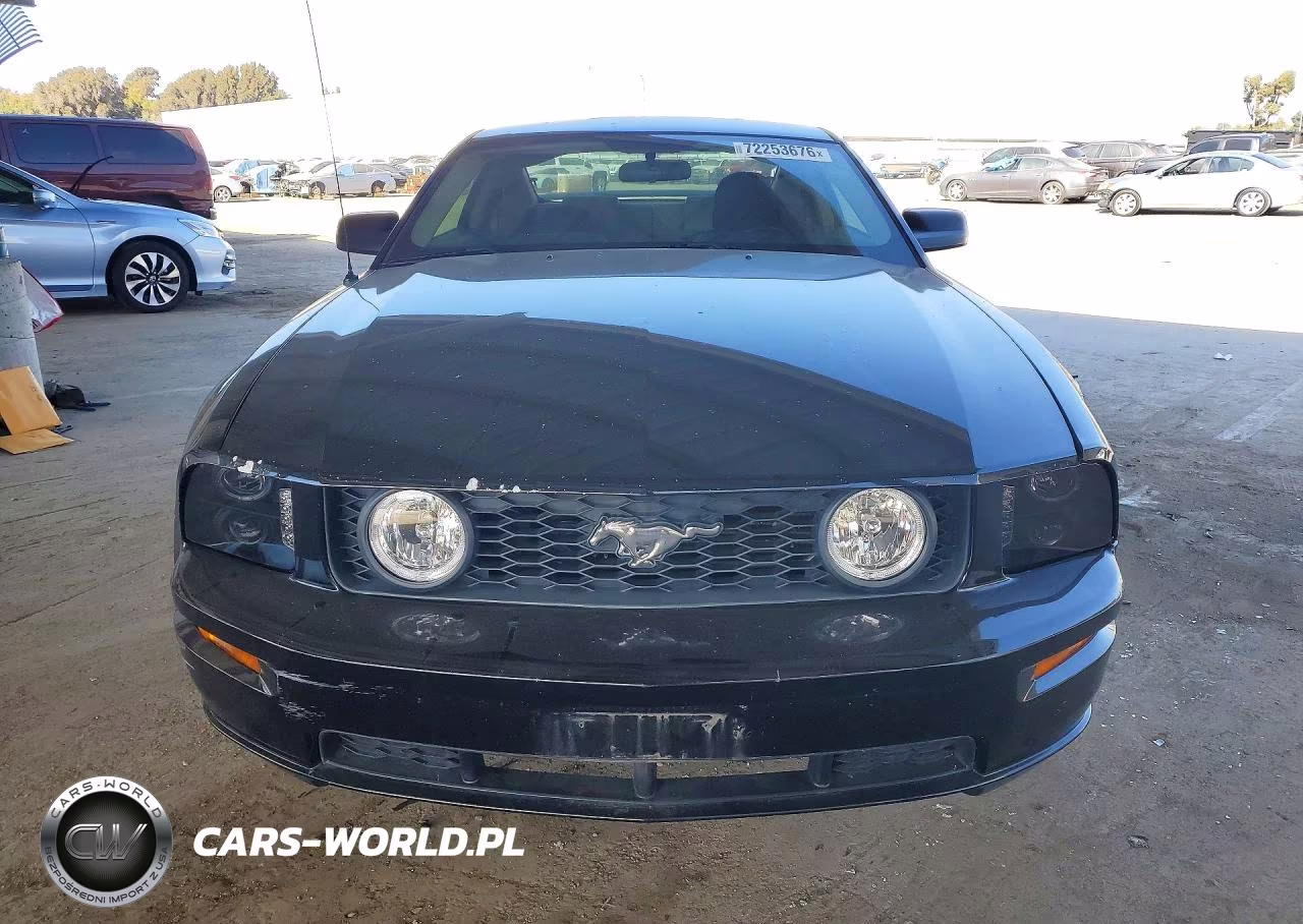 2006 Ford Mustang Gt VIN:1ZVFT82H765131700 - 5