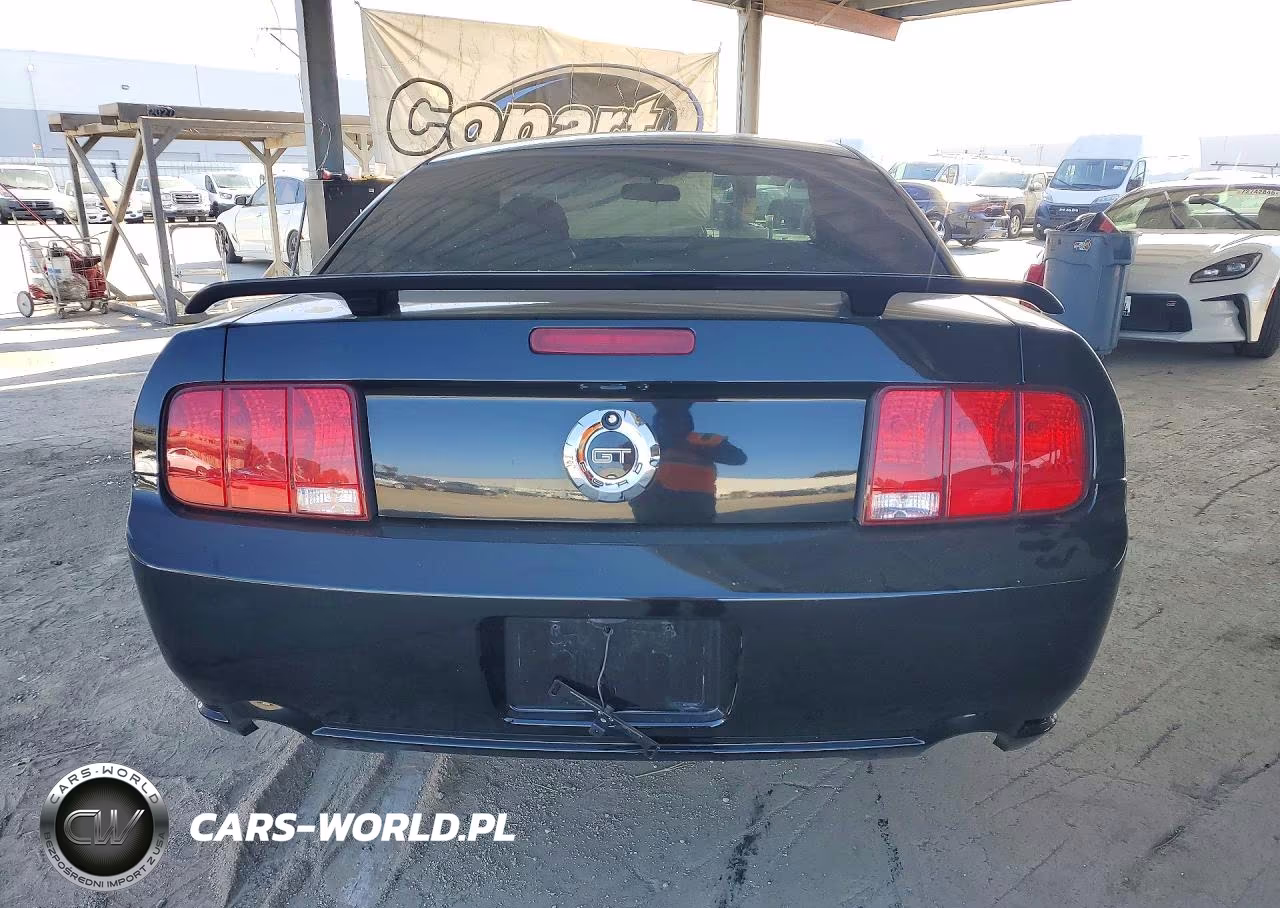 2006 Ford Mustang Gt VIN:1ZVFT82H765131700 - 6