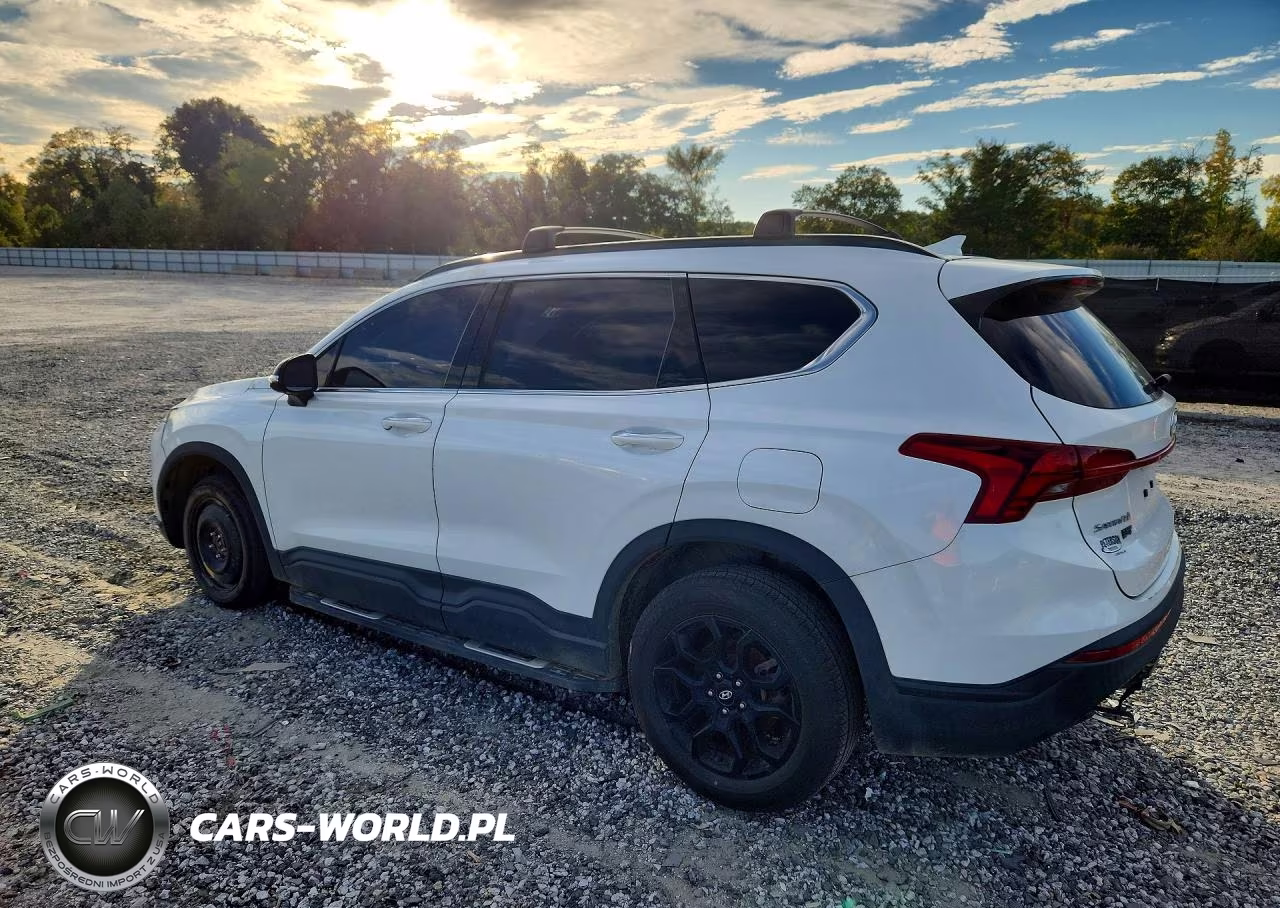 2023 Hyundai Santa Fe Xrt VIN:5NMS64AJ8PH497461 - 2