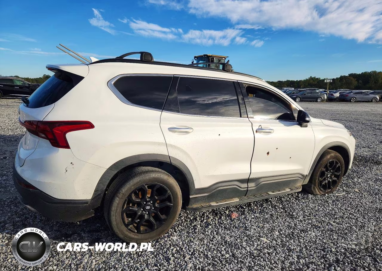2023 Hyundai Santa Fe Xrt VIN:5NMS64AJ8PH497461 - 3