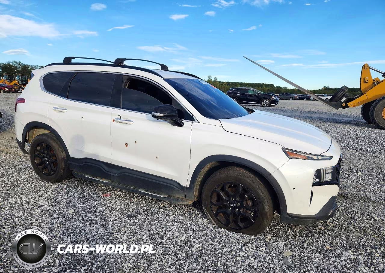 2023 Hyundai Santa Fe Xrt VIN:5NMS64AJ8PH497461 - 4