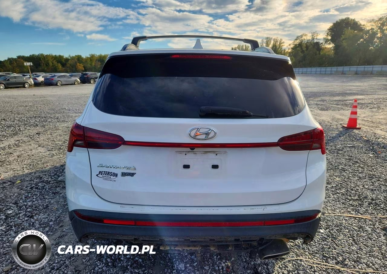 2023 Hyundai Santa Fe Xrt VIN:5NMS64AJ8PH497461 - 6