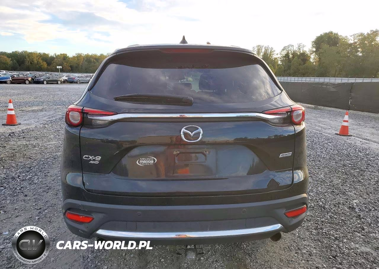 2017 Mazda Cx-9 Signature VIN:JM3TCBEYXH0135729 - 6