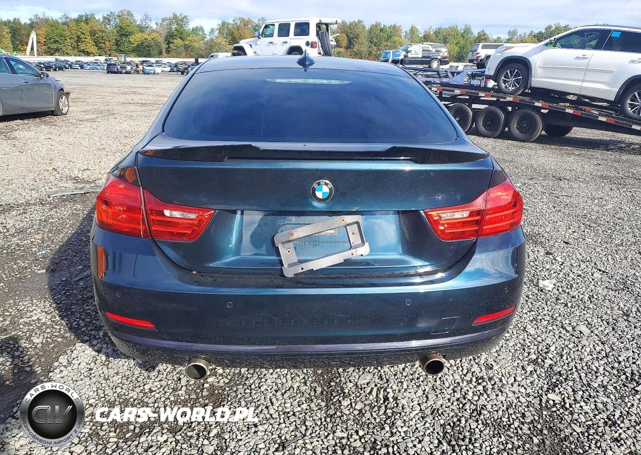 2017 BMW 440I Gran Coupe xDrive VIN:WBA4E5C54HG189453 - 6