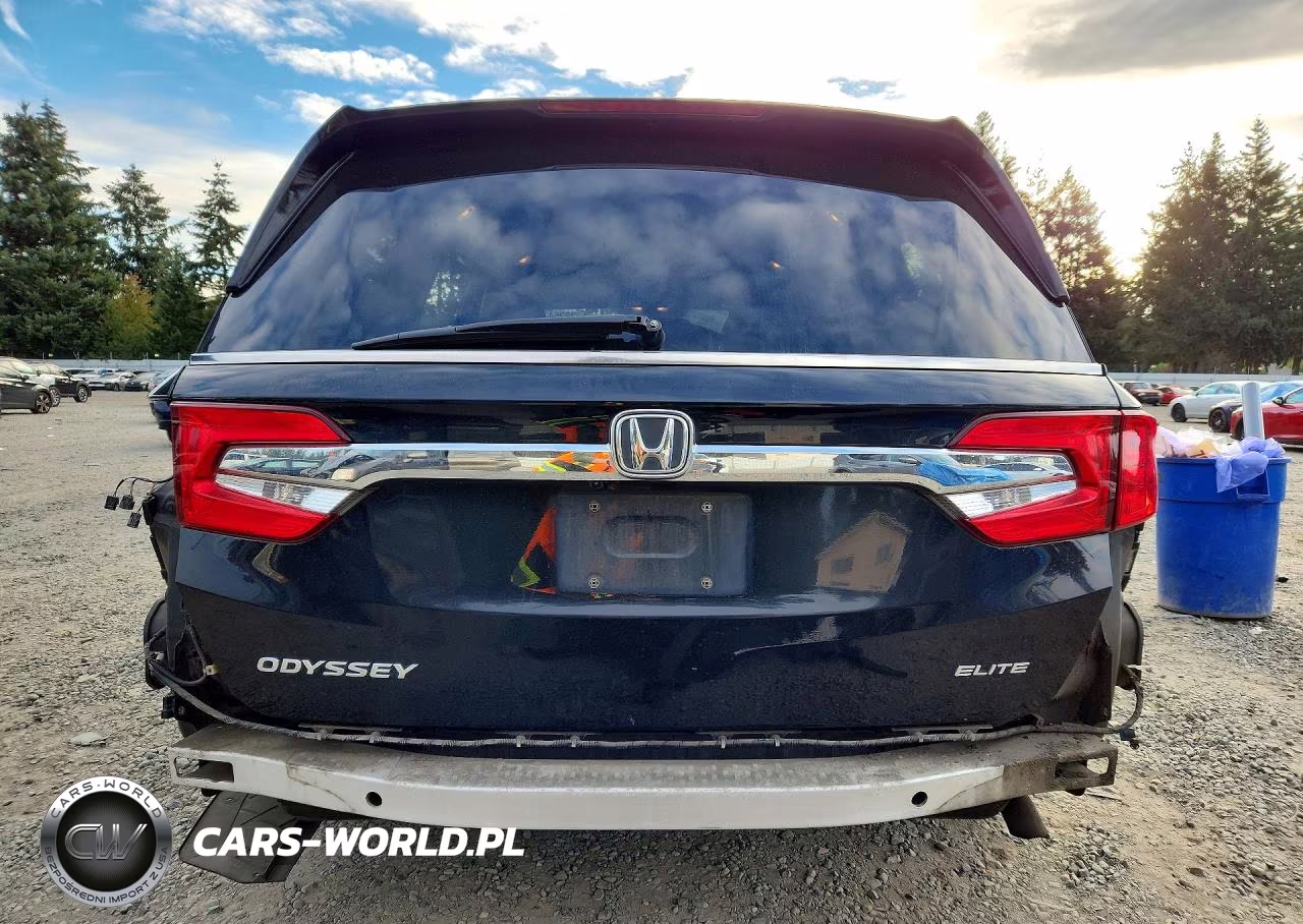 2018 Honda Odyssey Elite VIN:5FNRL6H9XJB038858 - 6