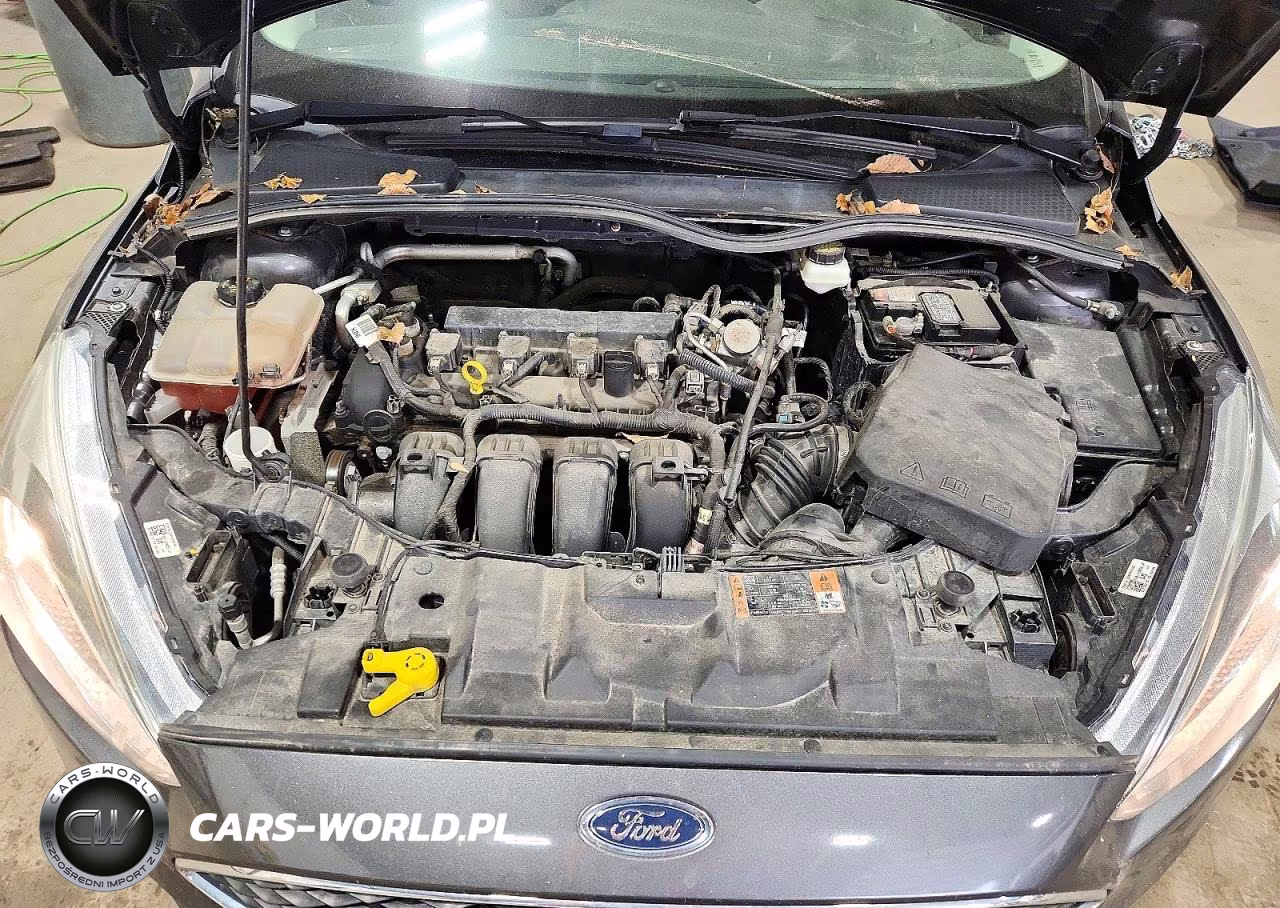 2017 Ford Focus Se VIN:1FADP3F20HL221864 - 11