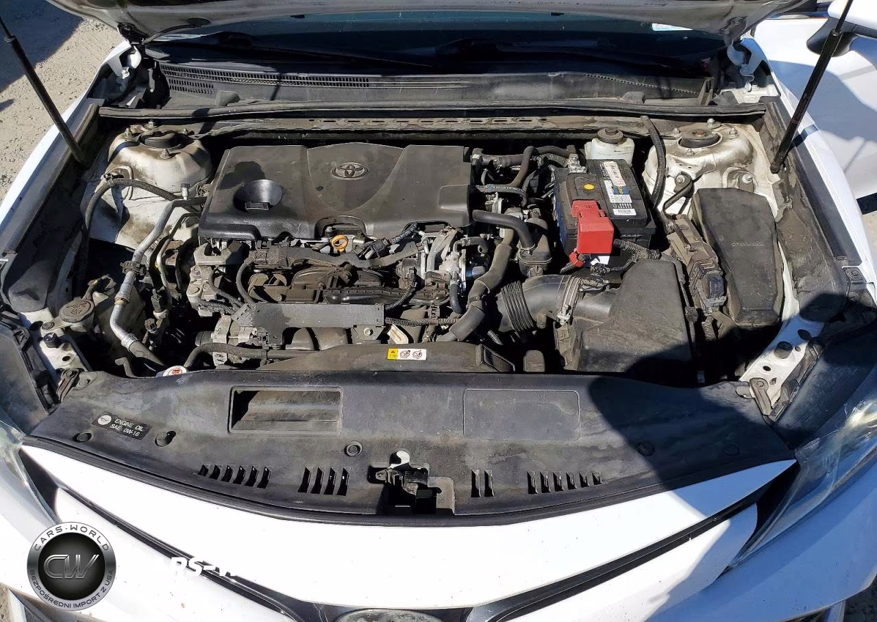 2019 Toyota Camry Le VIN:4T1B11HK6KU806773 - 11