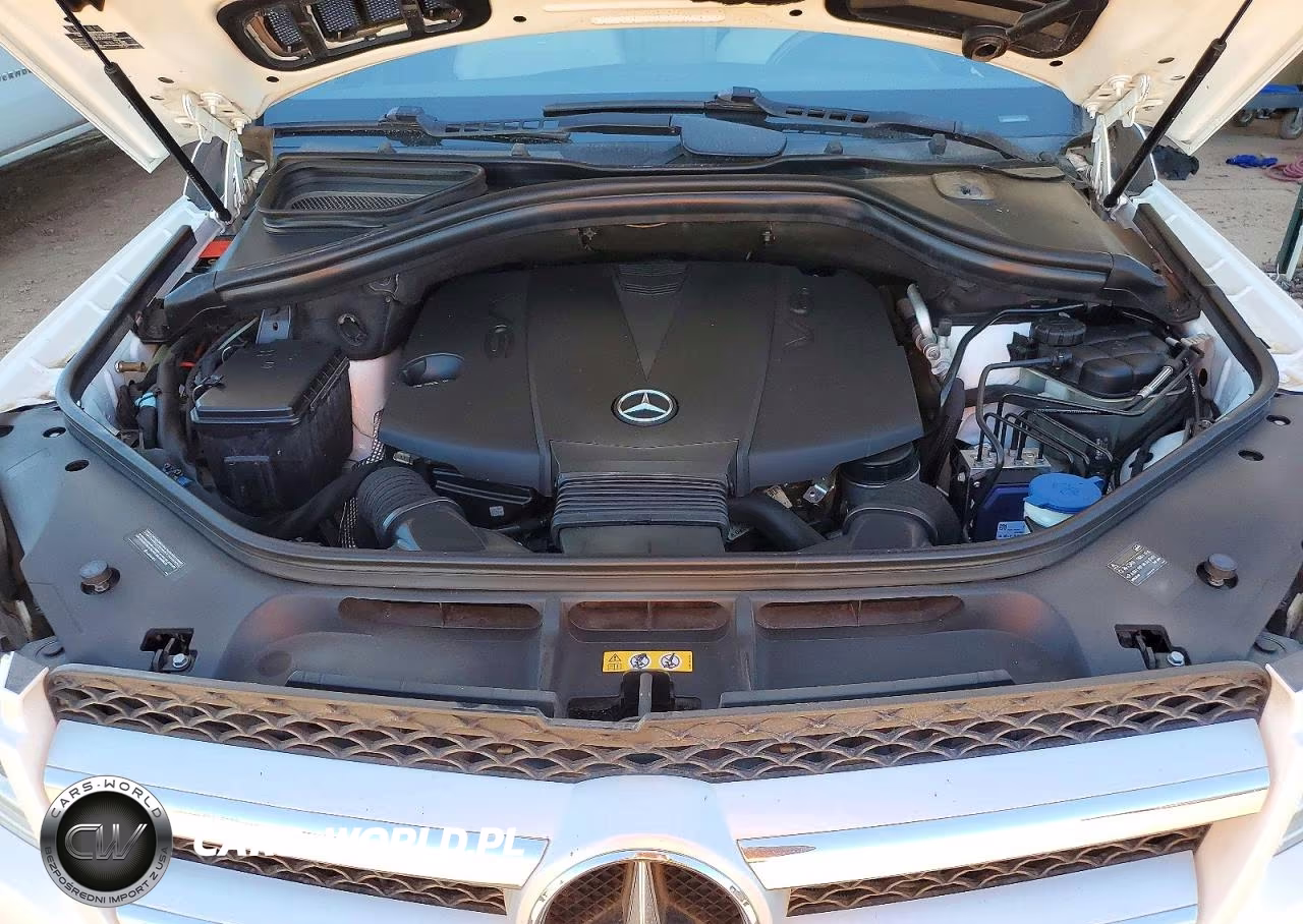 2014 Mercedes-Benz Gl 350 Bluetec VIN:4JGDF2EE0EA402193 - 12