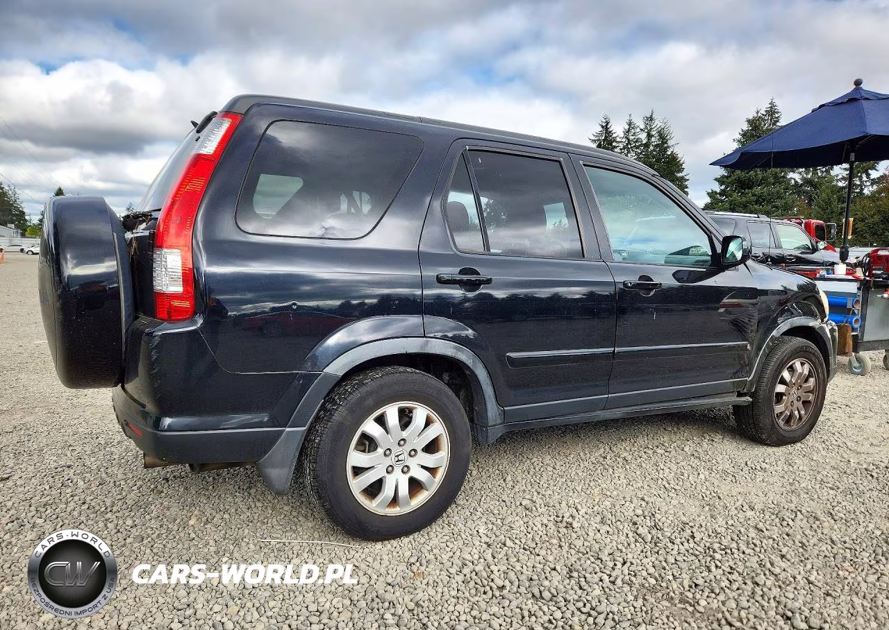 2005 Honda Cr-V Se VIN:JHLRD78965C045640 - 3