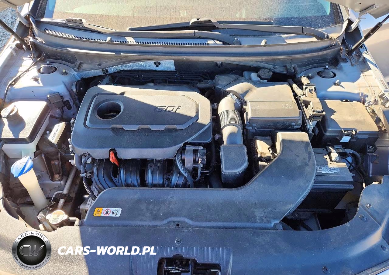 2016 Hyundai Sonata Se VIN:5NPE24AFXGH334009 - 10