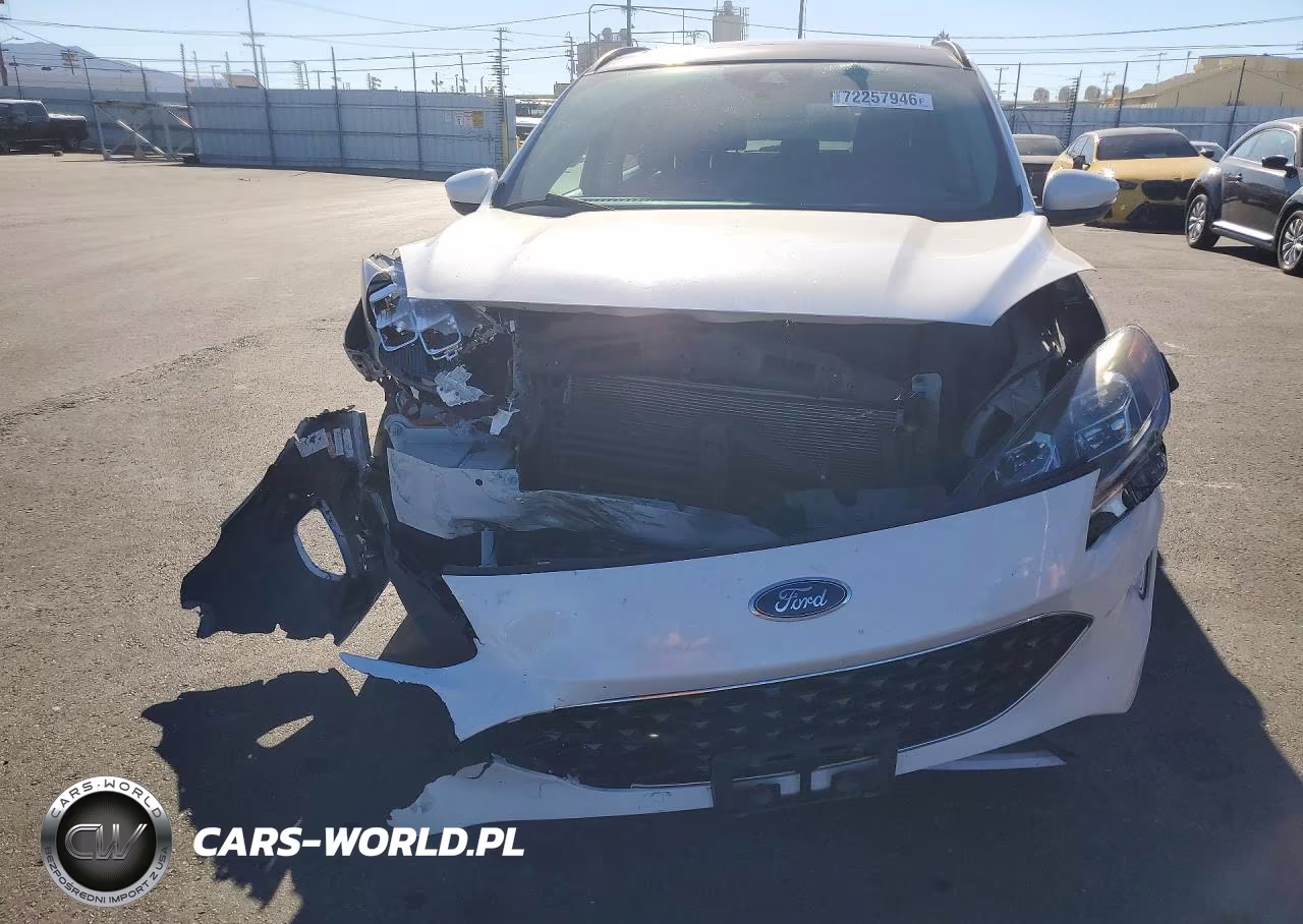 2020 Ford Escape Titanium VIN:1FMCU0DZ4LUB93658 - 5