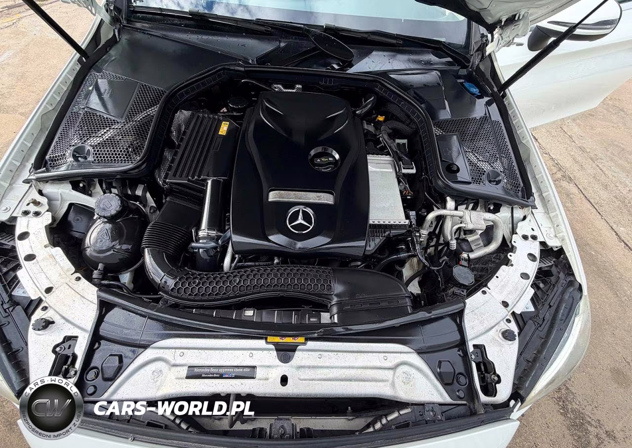 2017 Mercedes-Benz C 300 VIN:WDDWJ4JB2HF409257 - 7