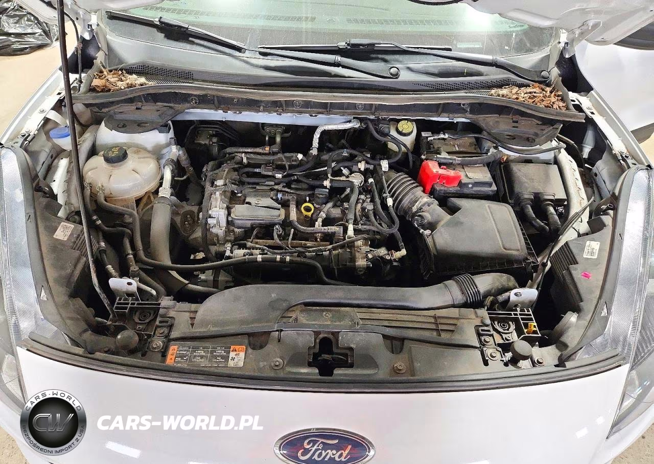 2022 Ford Escape S VIN:1FMCU9F68NUB53898 - 12