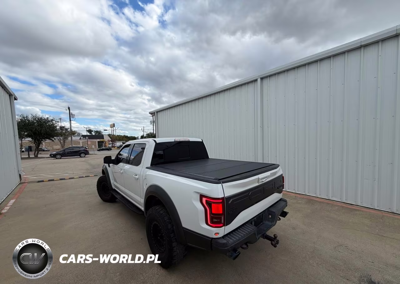 2018 Ford F150 Raptor VIN:1FTFW1RG0JFA71583 - 3