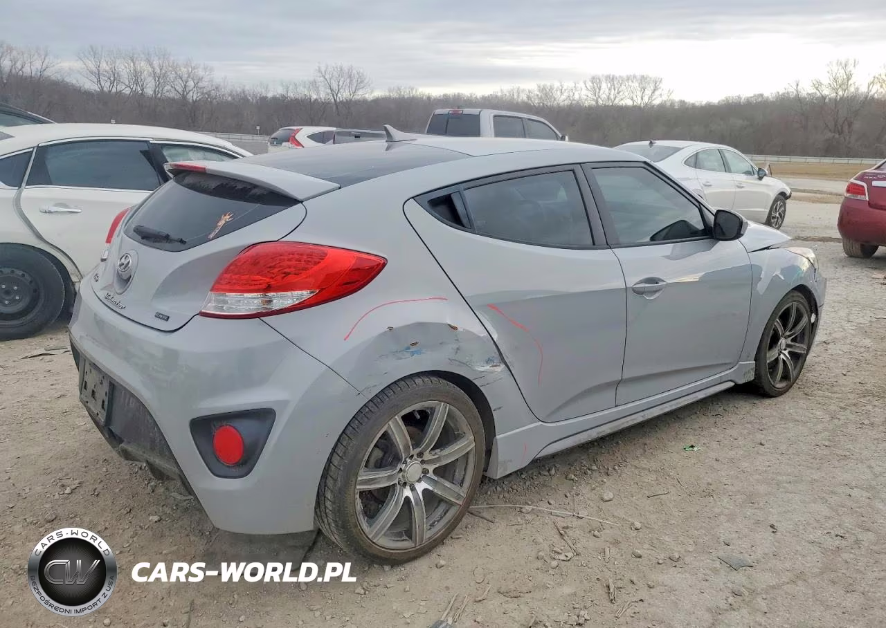2015 Hyundai Veloster Turbo VIN:KMHTC6AE0FU218812 - 3
