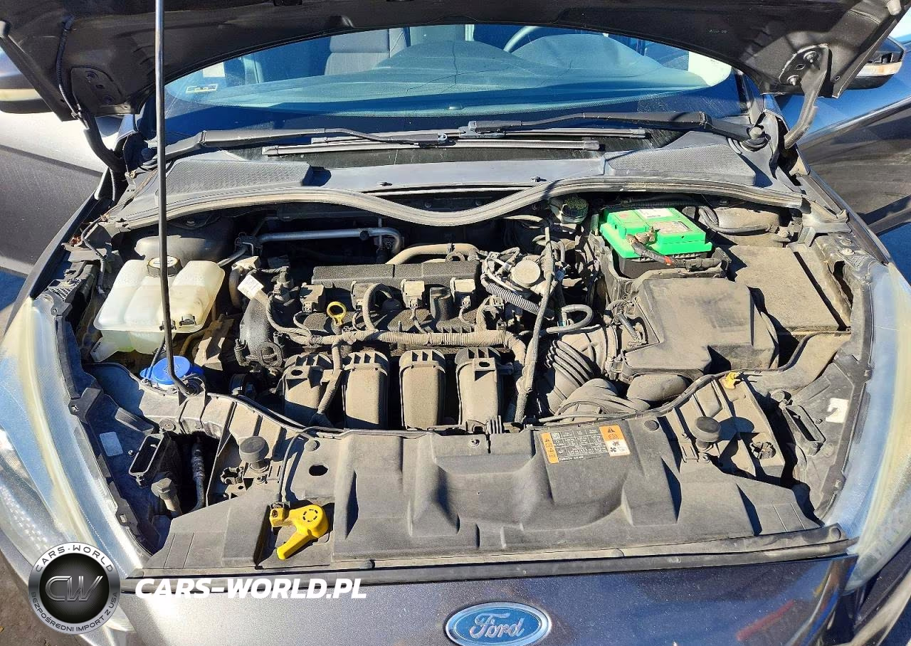 2016 Ford Focus Se VIN:1FADP3F25GL357731 - 11