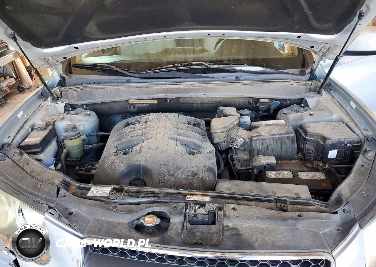2008 Hyundai Santa Fe Se VIN:5NMSH13EX8H228503 - 12