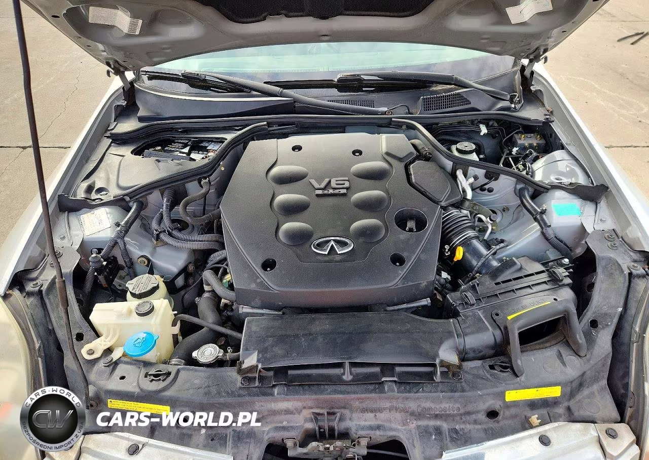 2004 Infiniti G35 Base VIN:JNKCV51FX4M710373 - 11