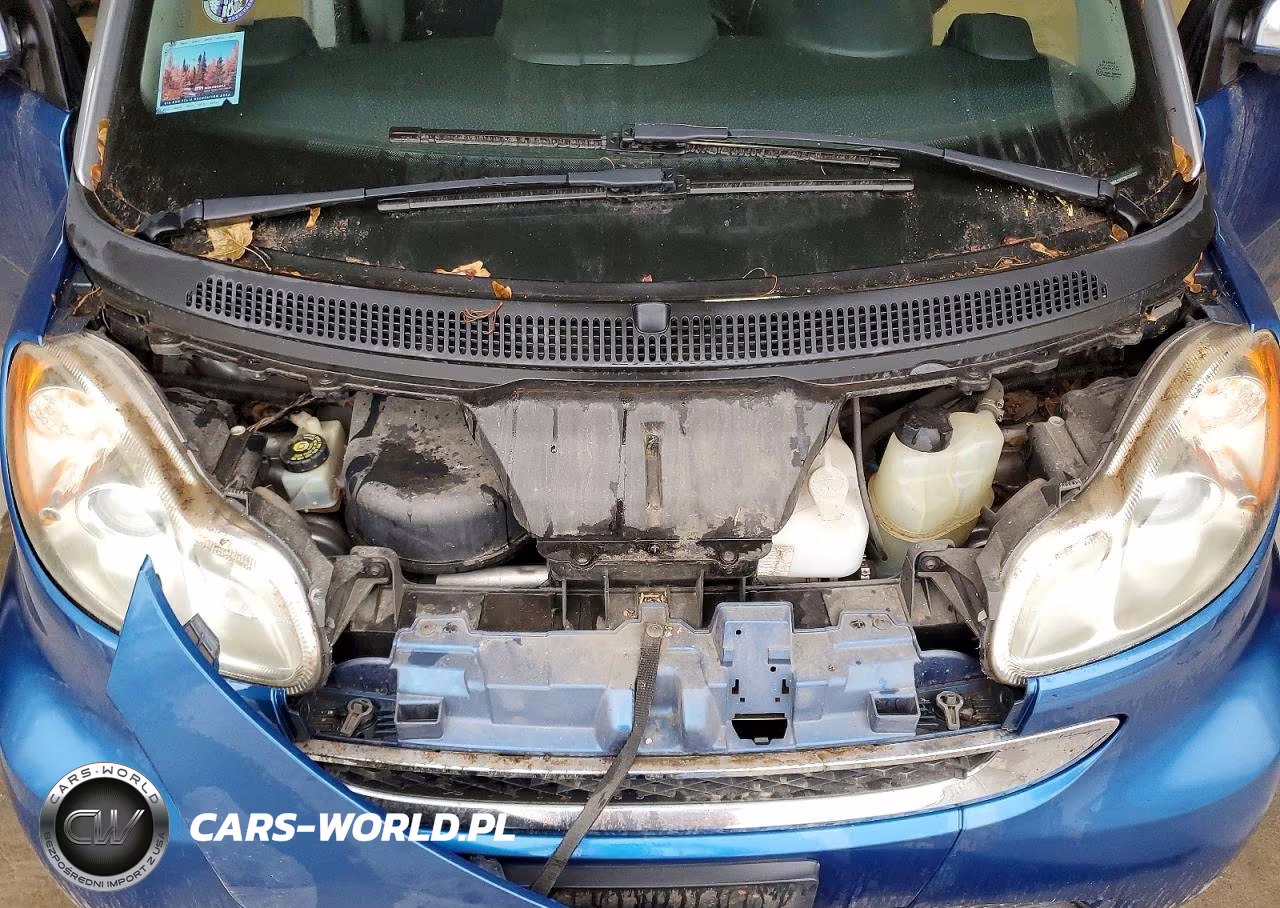 2009 Smart Fortwo Pure VIN:WMEEJ31X79K238222 - 11