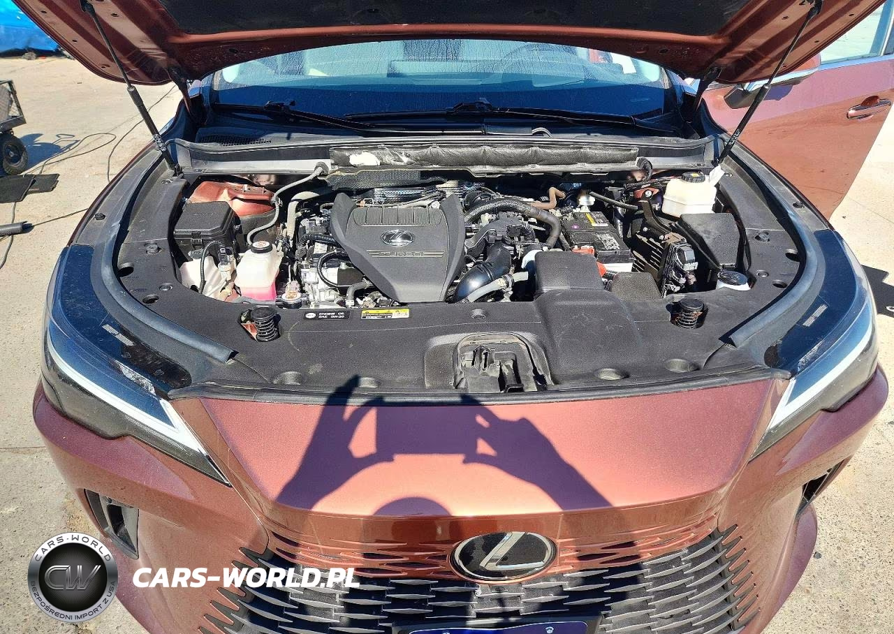 2024 Lexus Rx 350 Premium+ VIN:2T2BAMBA0RC026406 - 12