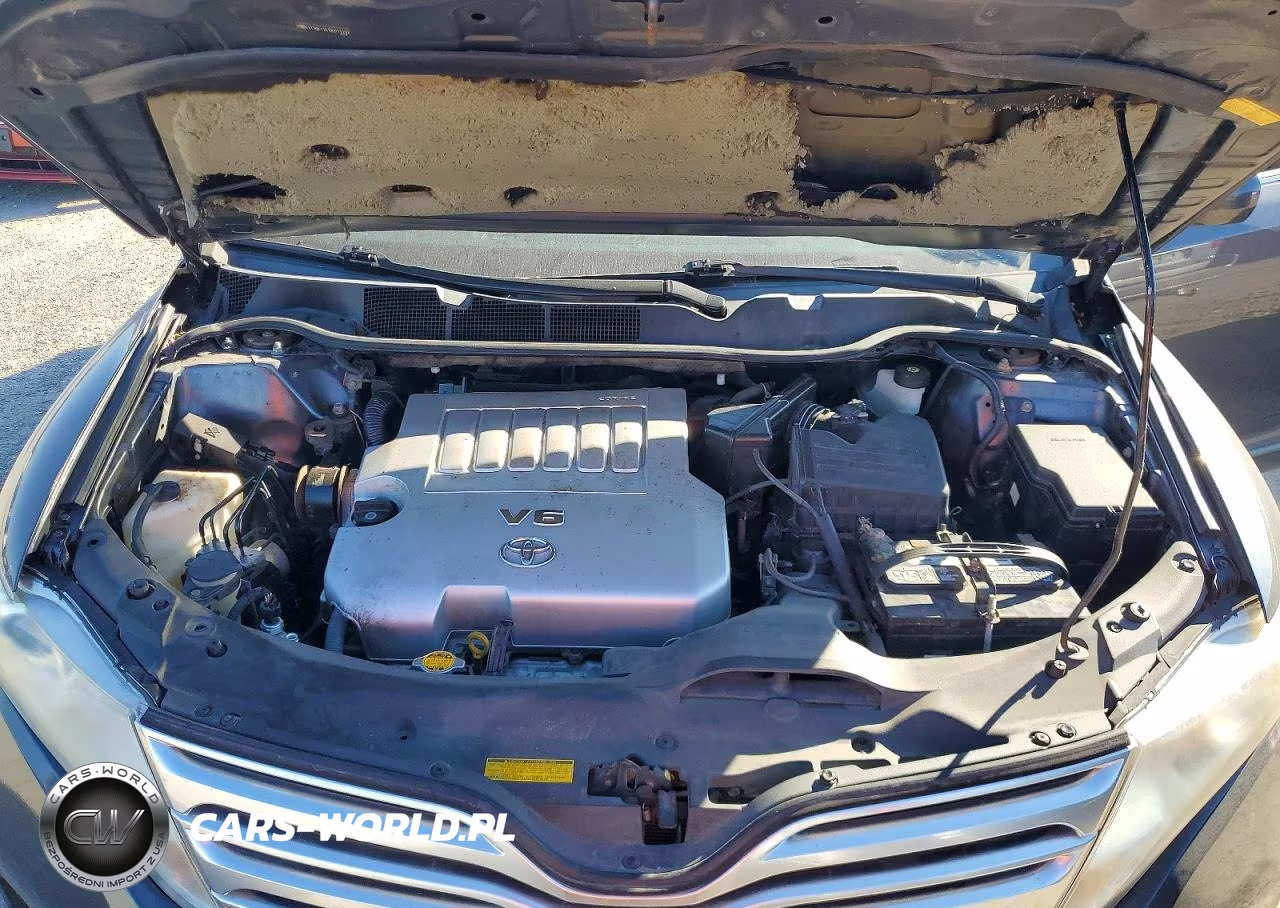 2009 Toyota Venza Awd V6 VIN:4T3BK11A19U011310 - 12