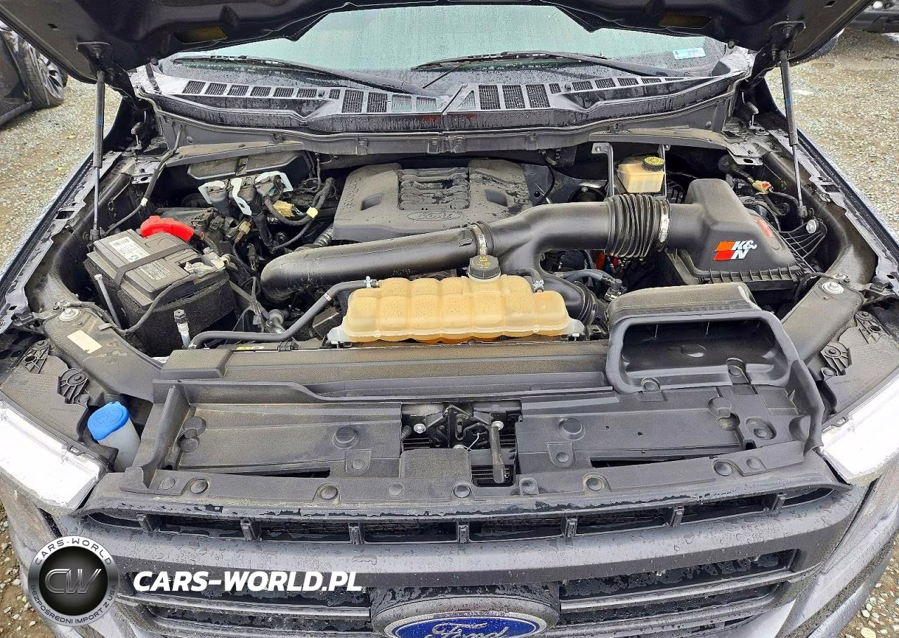 2023 Ford F150 Supercrew VIN:1FTEW1C88PFC02815 - 11