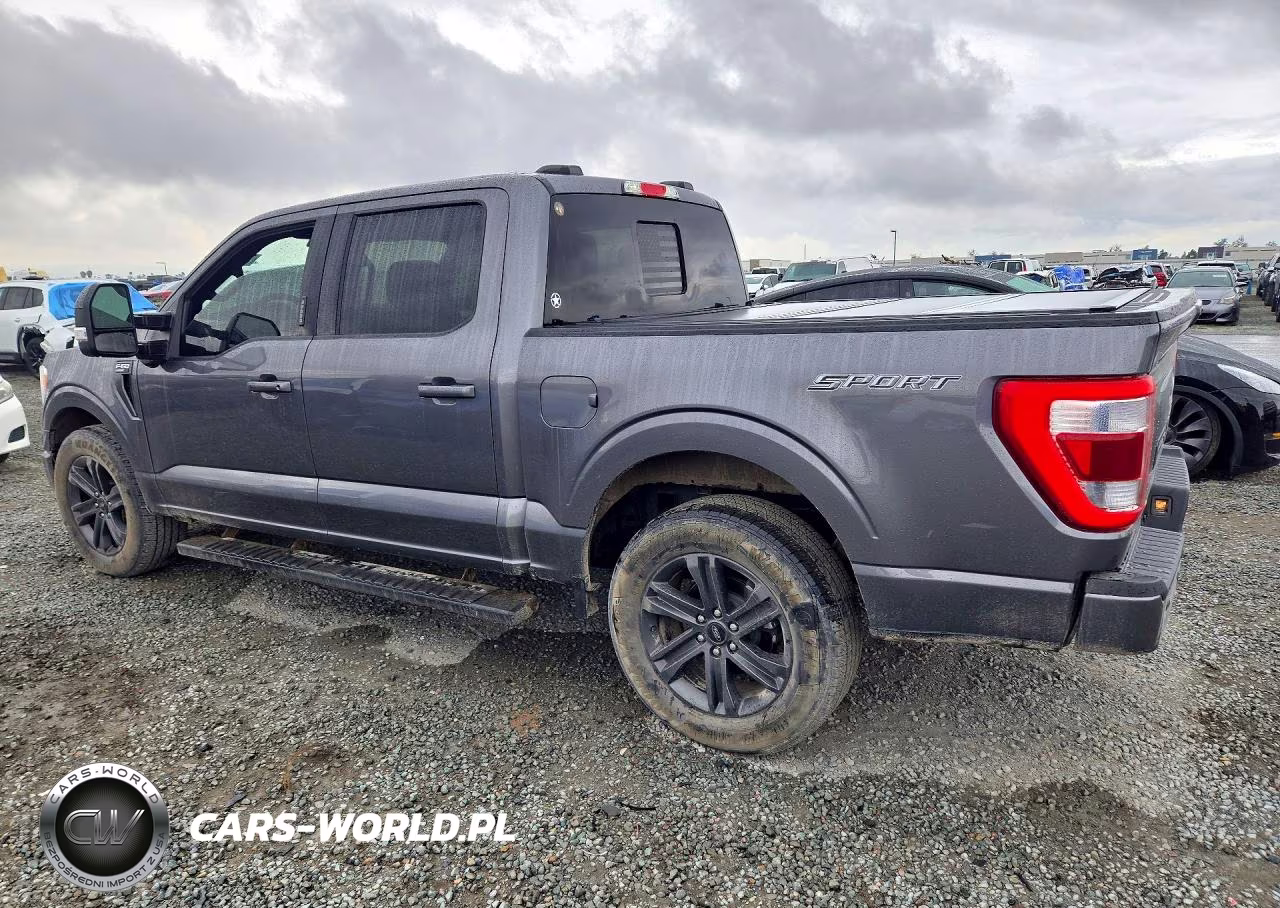 2023 Ford F150 Supercrew VIN:1FTEW1C88PFC02815 - 2