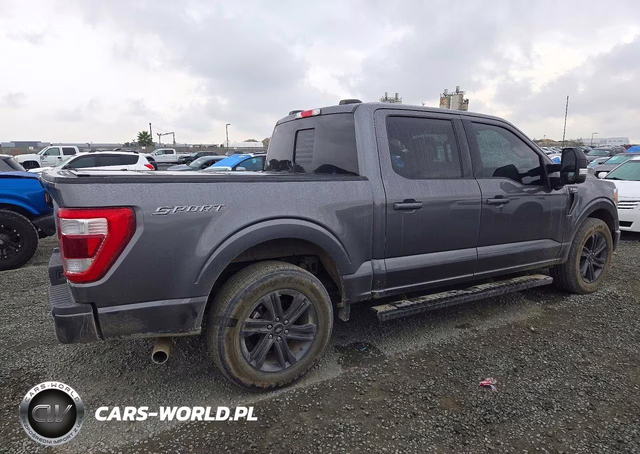 2023 Ford F150 Supercrew VIN:1FTEW1C88PFC02815 - 3