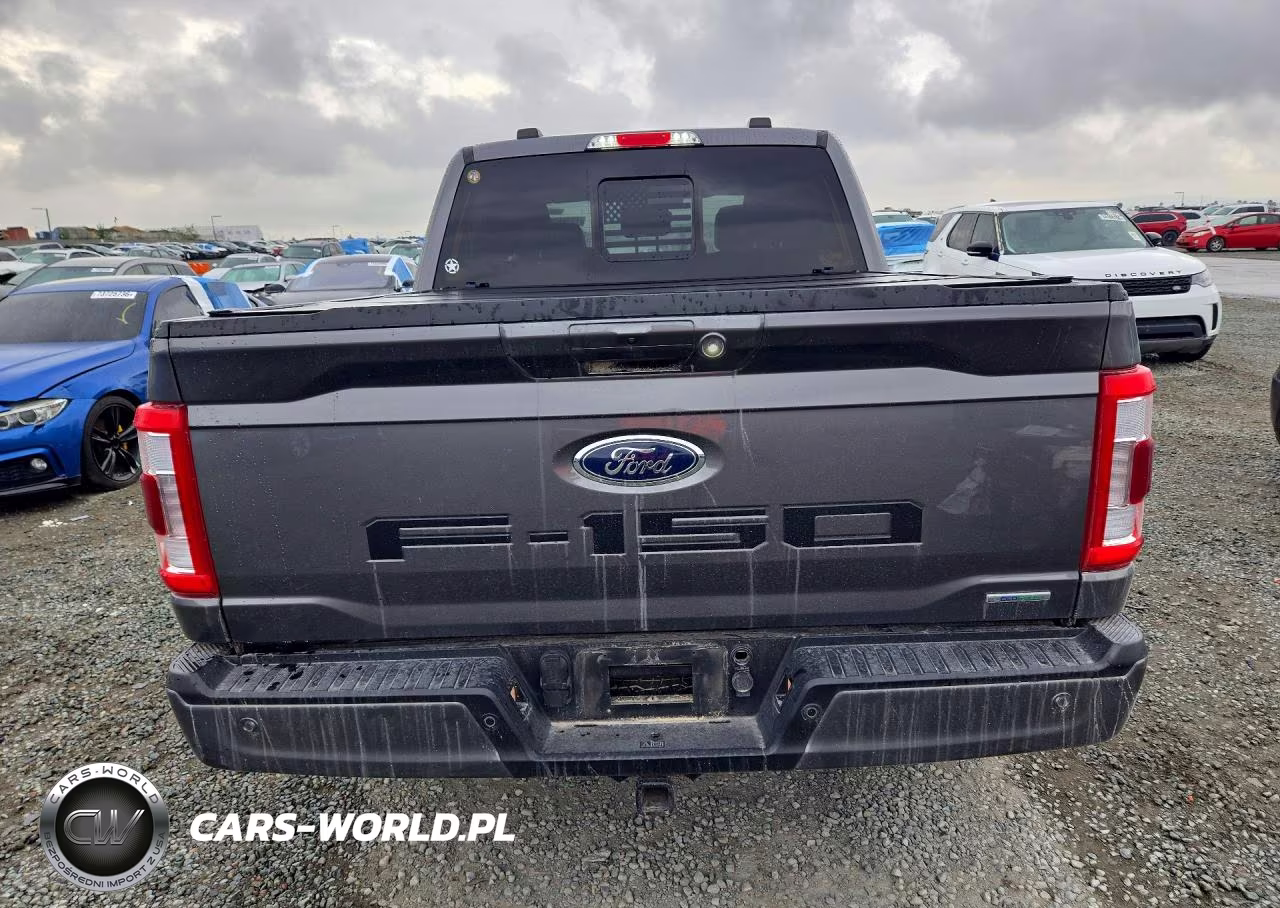 2023 Ford F150 Supercrew VIN:1FTEW1C88PFC02815 - 6