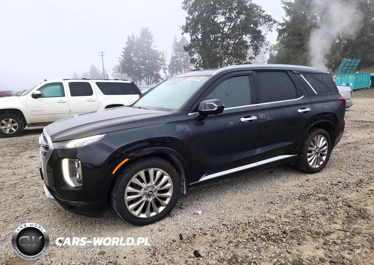 2020 Hyundai Palisade Limited VIN:KM8R5DHE5LU099102 - 1