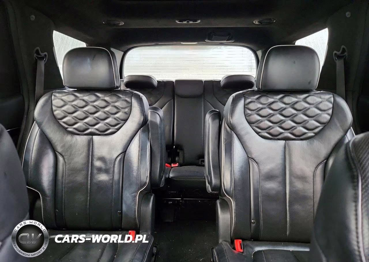 2020 Hyundai Palisade Limited VIN:KM8R5DHE5LU099102 - 10