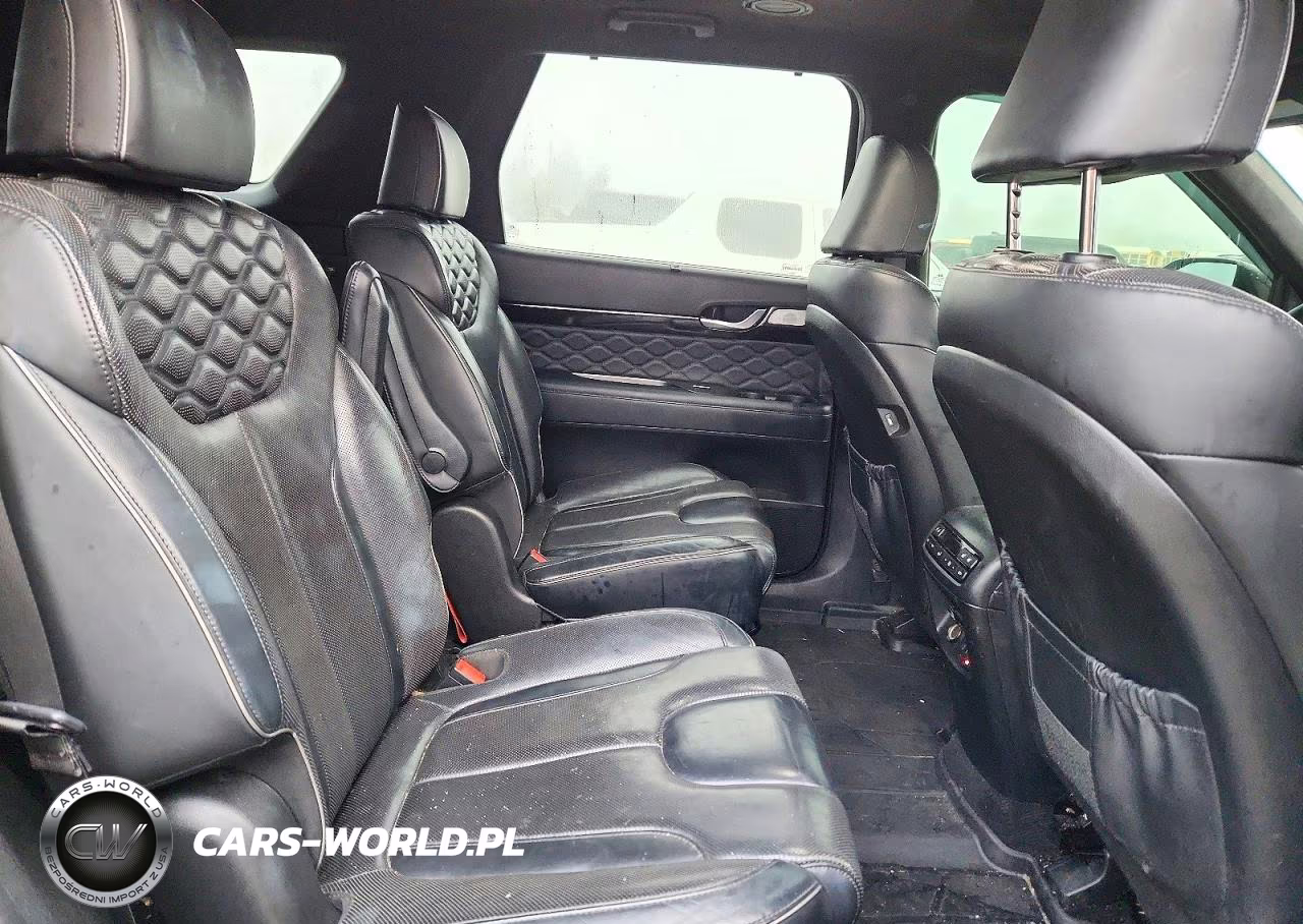 2020 Hyundai Palisade Limited VIN:KM8R5DHE5LU099102 - 11