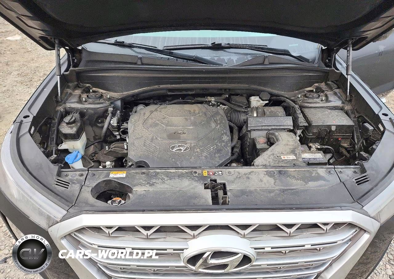 2020 Hyundai Palisade Limited VIN:KM8R5DHE5LU099102 - 12