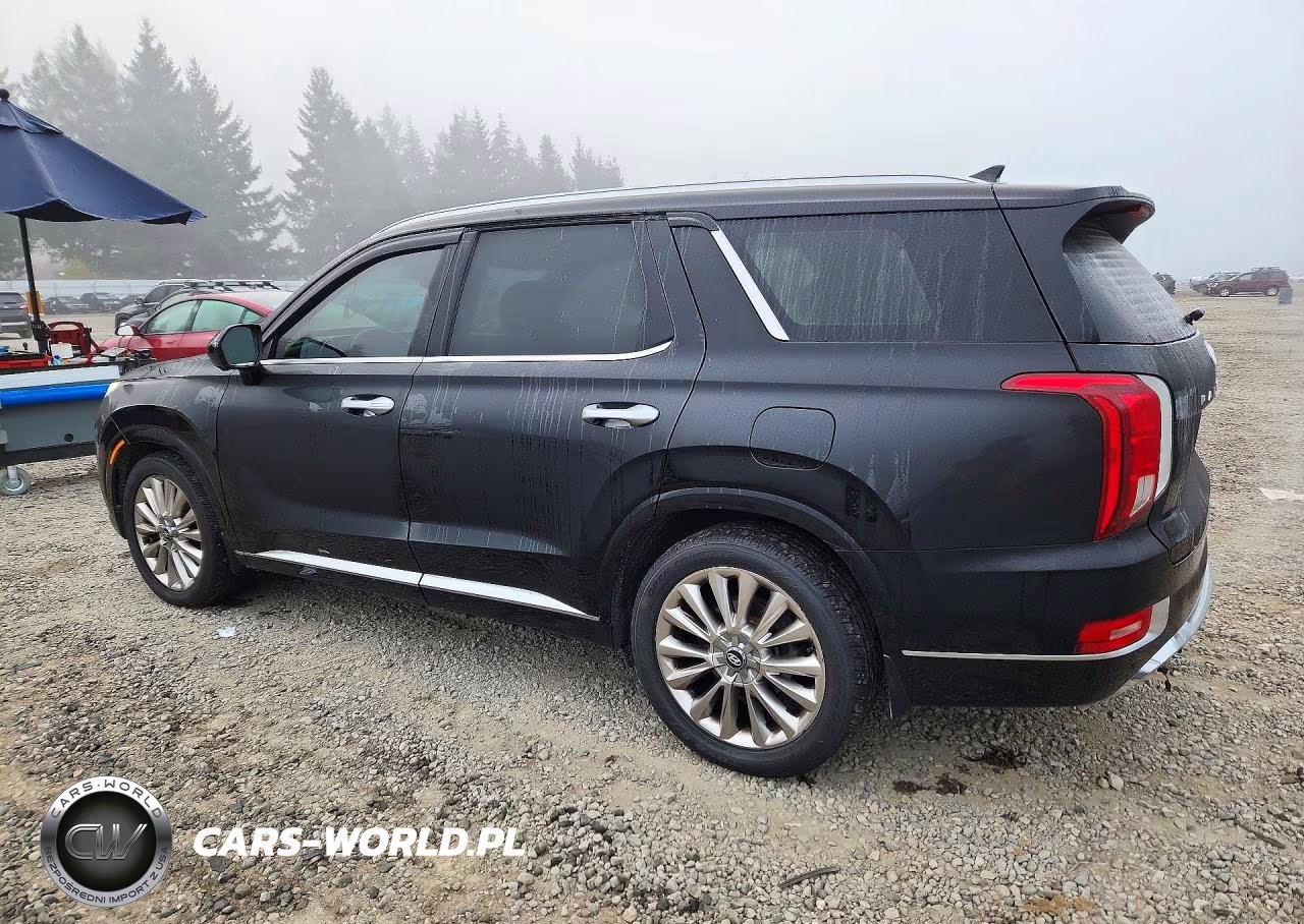 2020 Hyundai Palisade Limited VIN:KM8R5DHE5LU099102 - 2